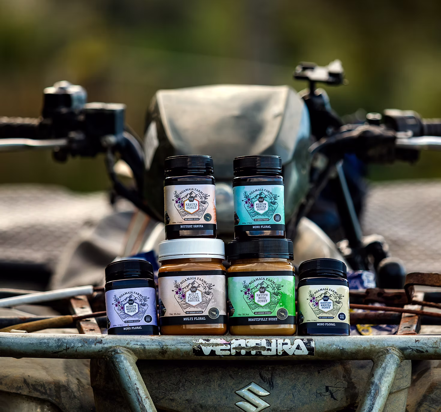 Bee on a manuka flower